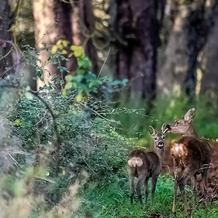 Отель Demeures De Campagne Parc Du Coudray - Barbizon