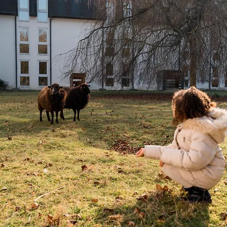Hotel Demeures De Campagne Parc Du Coudray - Barbizon