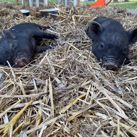 Demeures De Campagne Parc Du Coudray - Barbizon Hotel